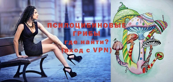 трава Беломорск