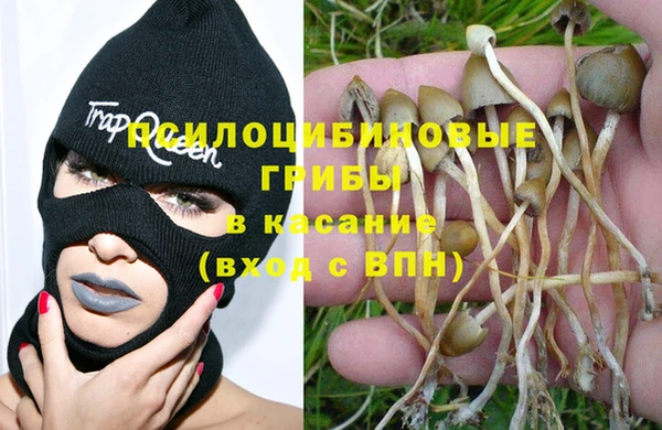 каннабис Белокуриха