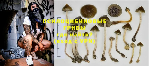 трава Беломорск