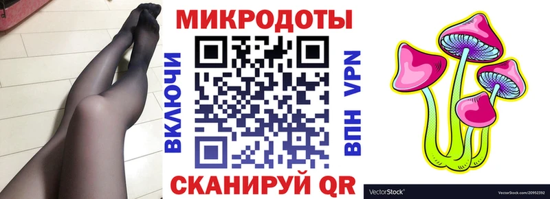 Псилоцибиновые грибы Psilocybine cubensis  Гулькевичи 